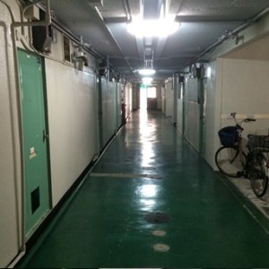 mg4_2beforez